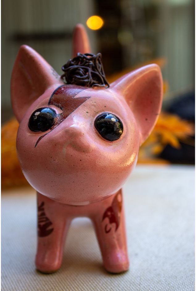 Miau Ziggy -3-.jpg